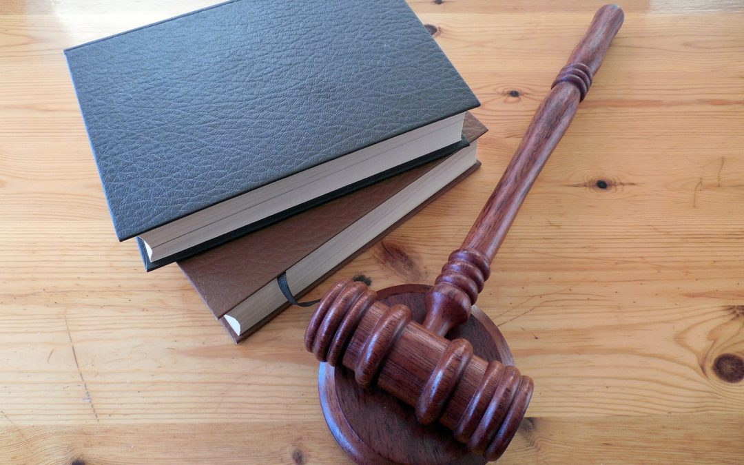 Tenant Background Checks