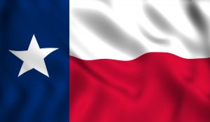 Texas State Flag