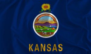 Kansas State Flag