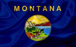 Montana State Flag