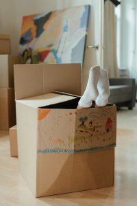 section 8 terms