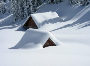 winter landscaping